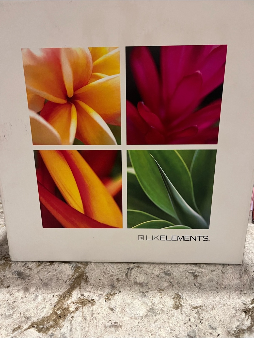 LIKELEMENTS  Floral Quad Wall Art - Peter Lik-  Element Pack NEW in BOX